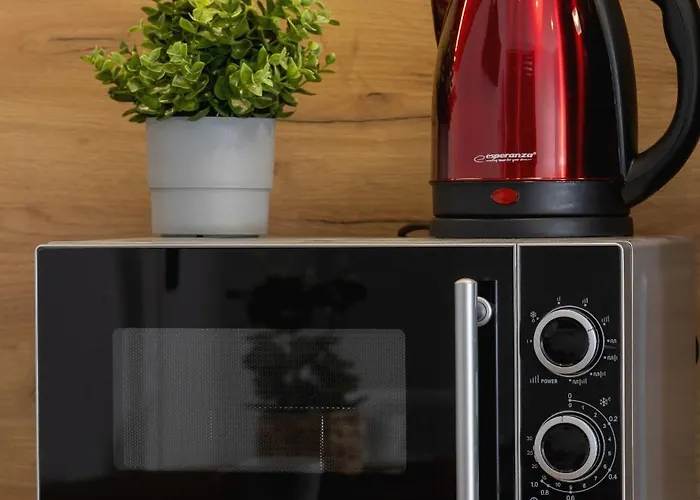 Slowackiego Comfy - Station By Renters * 卡托维兹